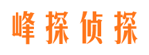 宁远婚外情调查取证